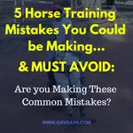 5 Horse Training Mistakes