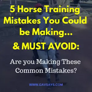 5 Horse Training Mistakes