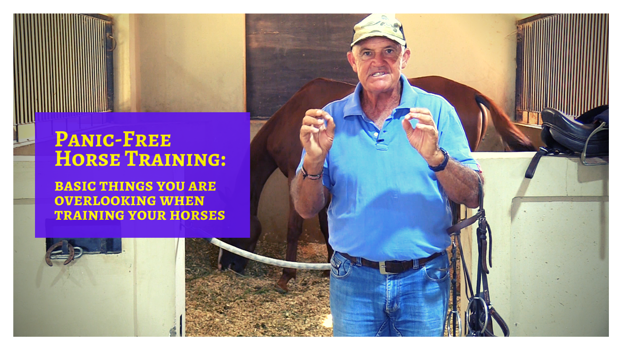 Panic-Free Horse Training Steps Intro