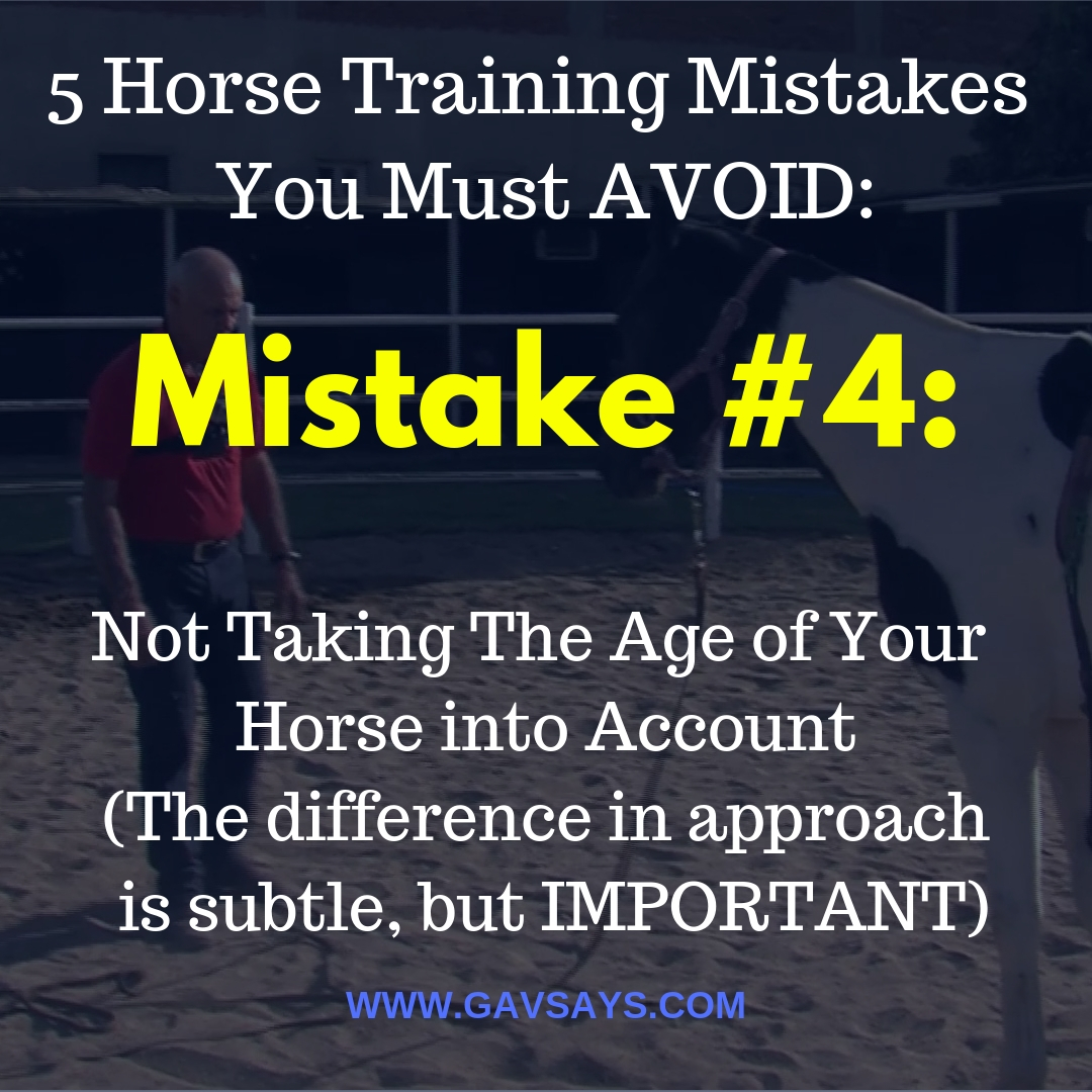 5 Horse Training Mistakes You're Making & Need to Avoid: Mistake #4