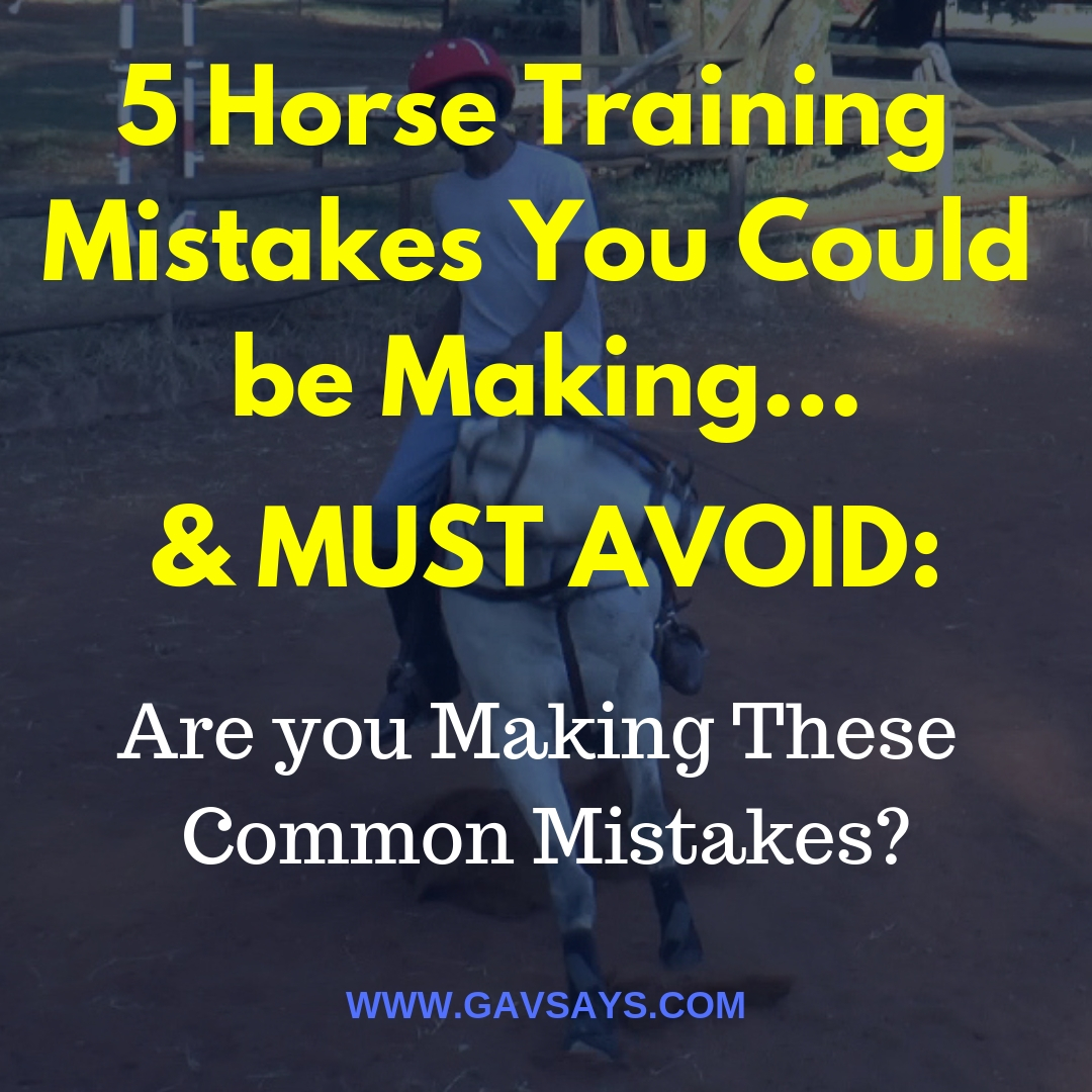 5 Horse Training Mistakes You're Making & Need to Avoid