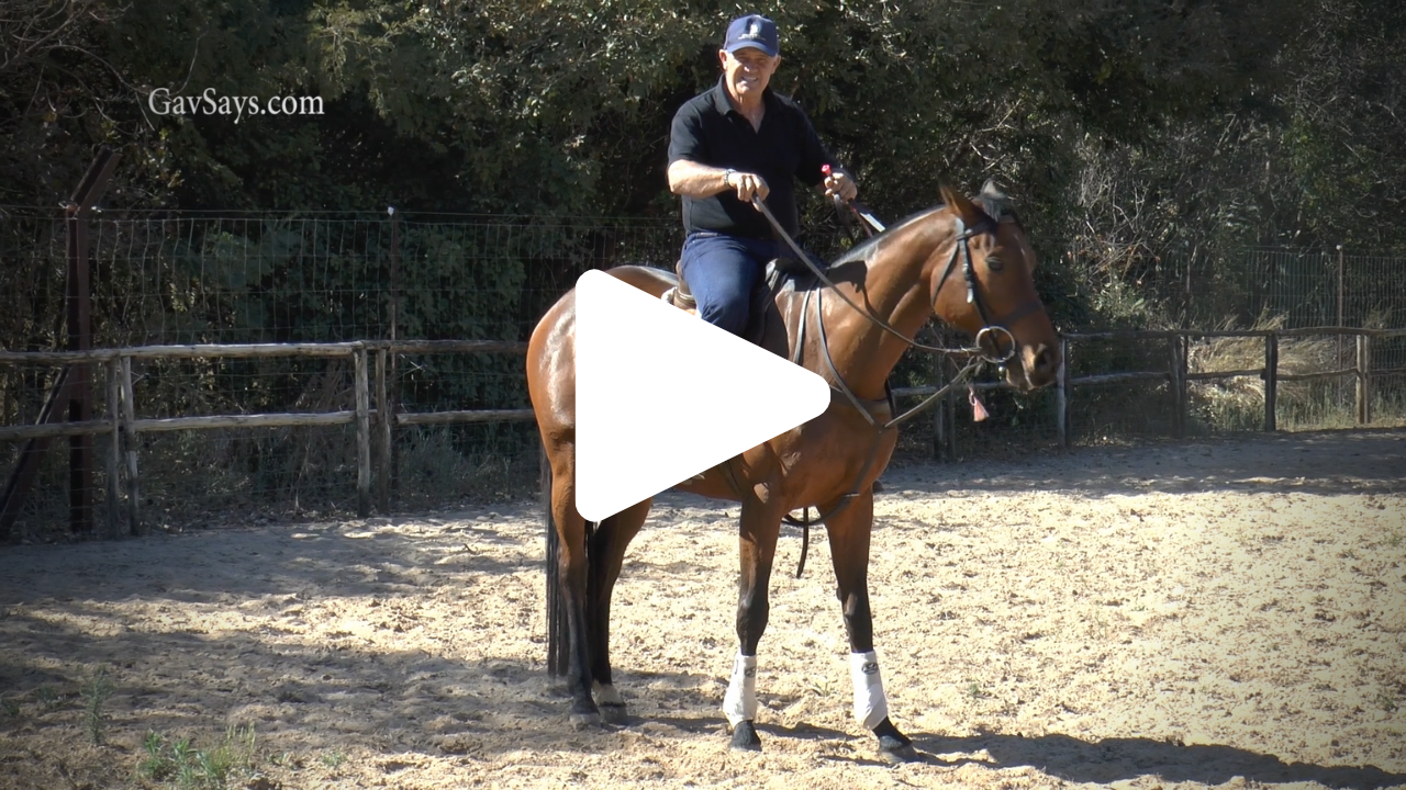 Do you know what work your horse needs?... With these horse training tips you'll learn the steps I take to assess a horse for training...