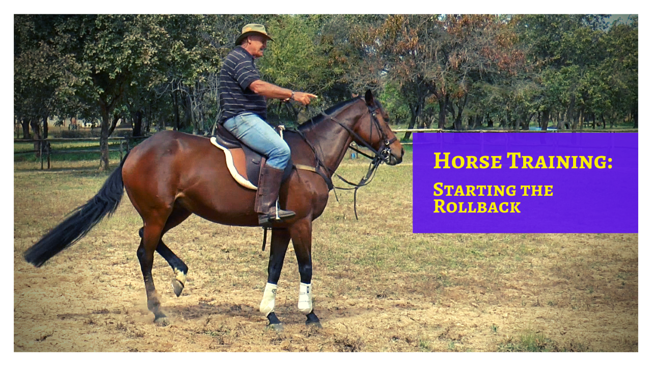 The best way of starting to teach the rollback is by first getting the horse soft when lateral. Let's get your horses spinning & rolling back..