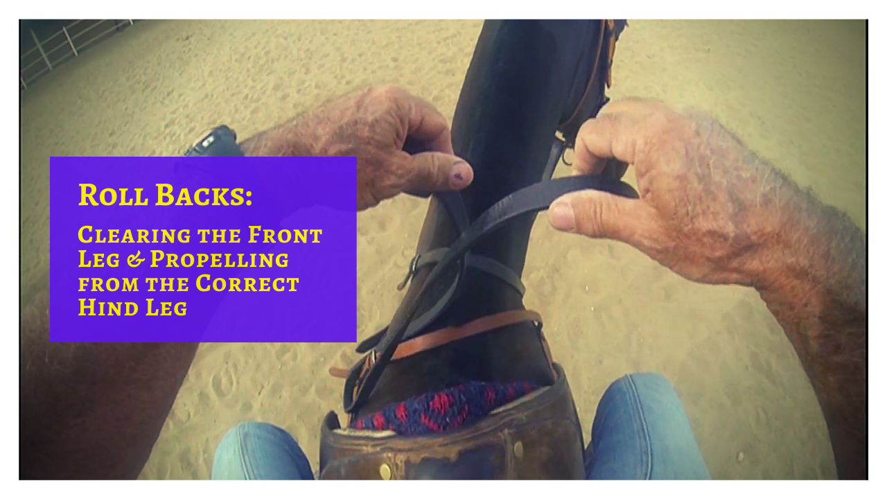 Do you want your horses to do polished, smooth and quick roll backs? Then it is imperative to first teach them this...