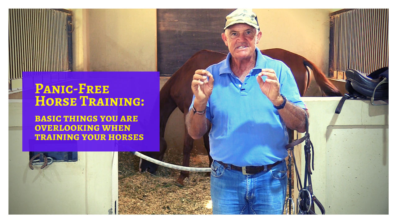 Panic-Free Horse Training