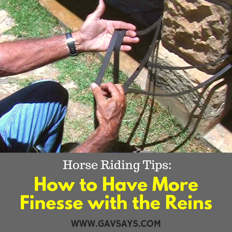 Horse Riding Tips: How to have More Finesse with the Reins...