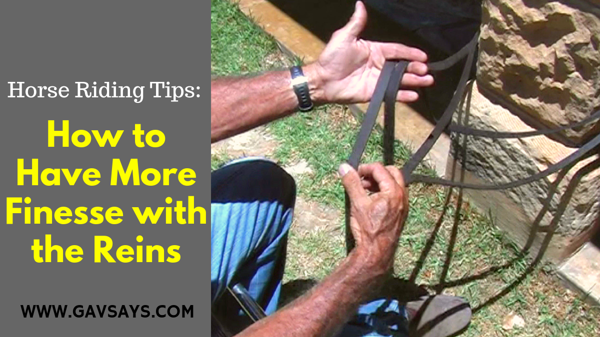 Horse Riding Tips: How to have More Finesse with the Reins...