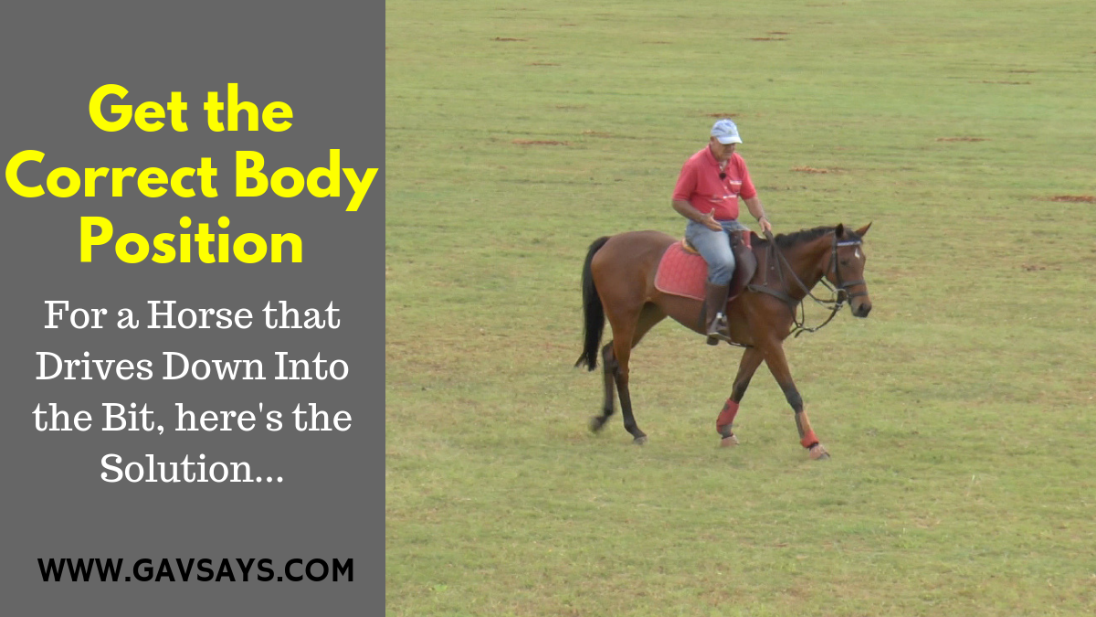 You must always be aware of what work your horse needs. For Promise, a horse that dove into the bit, it was to get the correct body position...