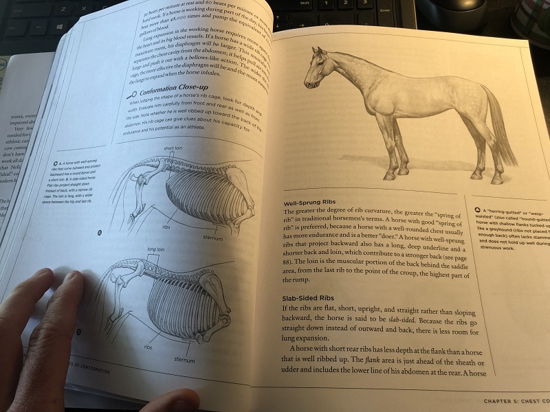 The Horse Conformation Handbook: Why it Should be on Your Coffee Table