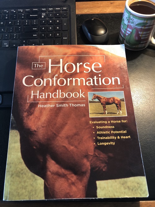 The Horse Conformation Handbook: Why it Should be on Your Coffee Table