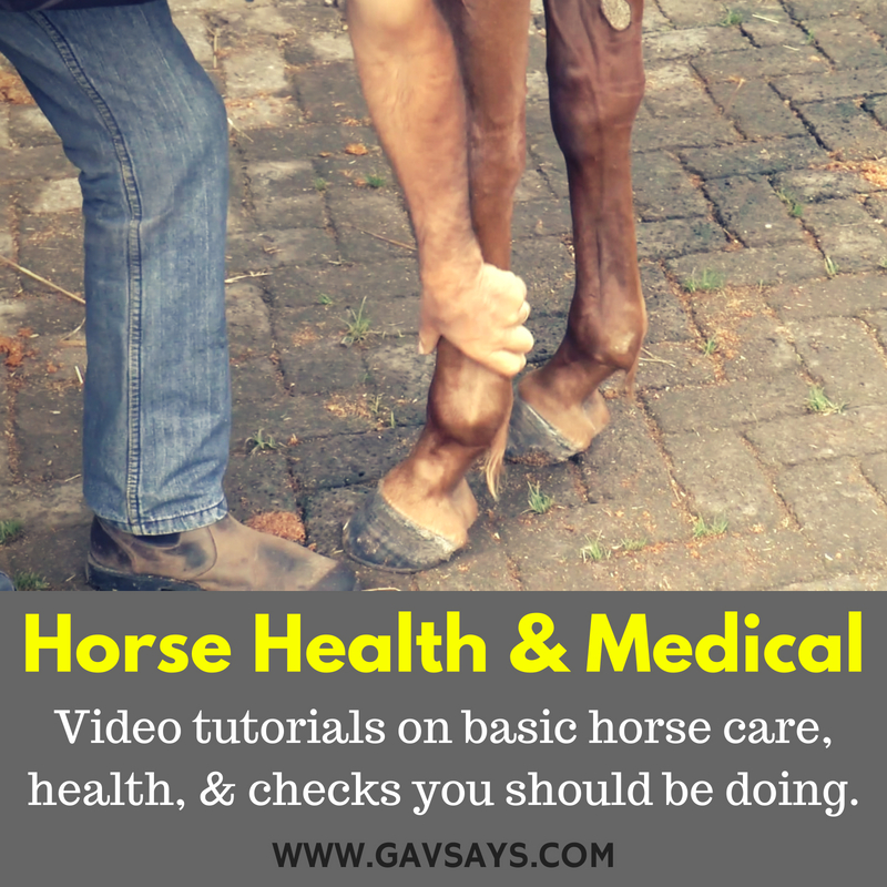 Horse Health, Care & Medical - Video Tutorials
