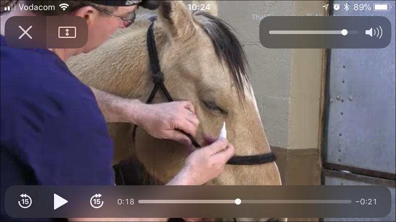 The brilliant Horse Side Vet Guide mobile app - Video Example [Screenshot]