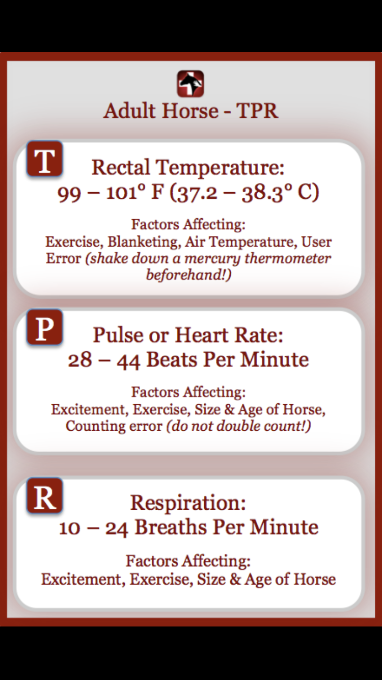 The brilliant Horse Side Vet Guide mobile app - Vital Sheet example [Screenshot]