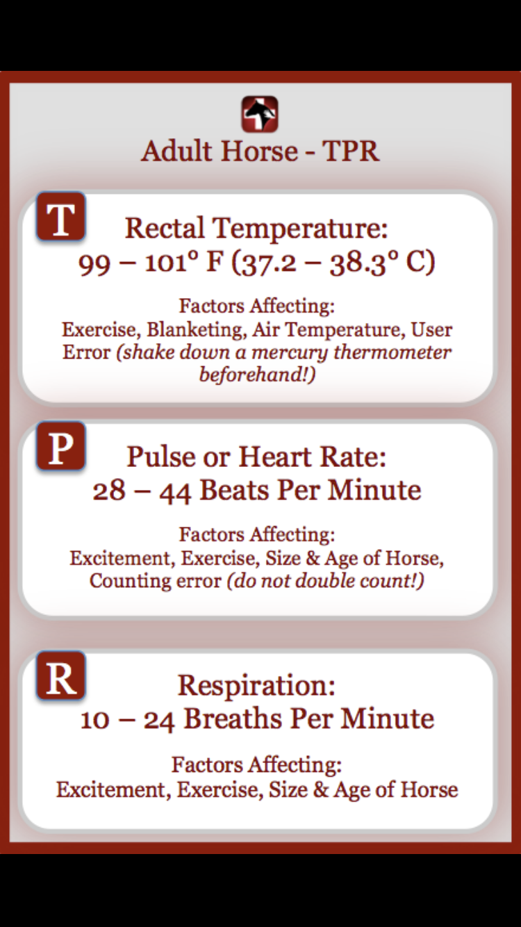 The brilliant Horse Side Vet Guide mobile app - Vital Sheet example [Screenshot]