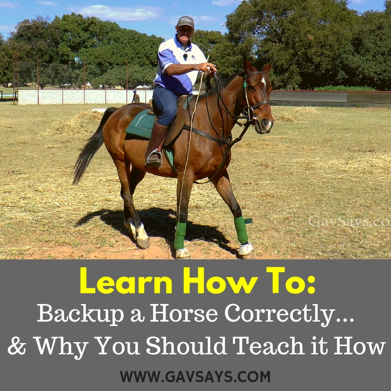 Learn How to Backup a Horse: & Why it's so important to teach...