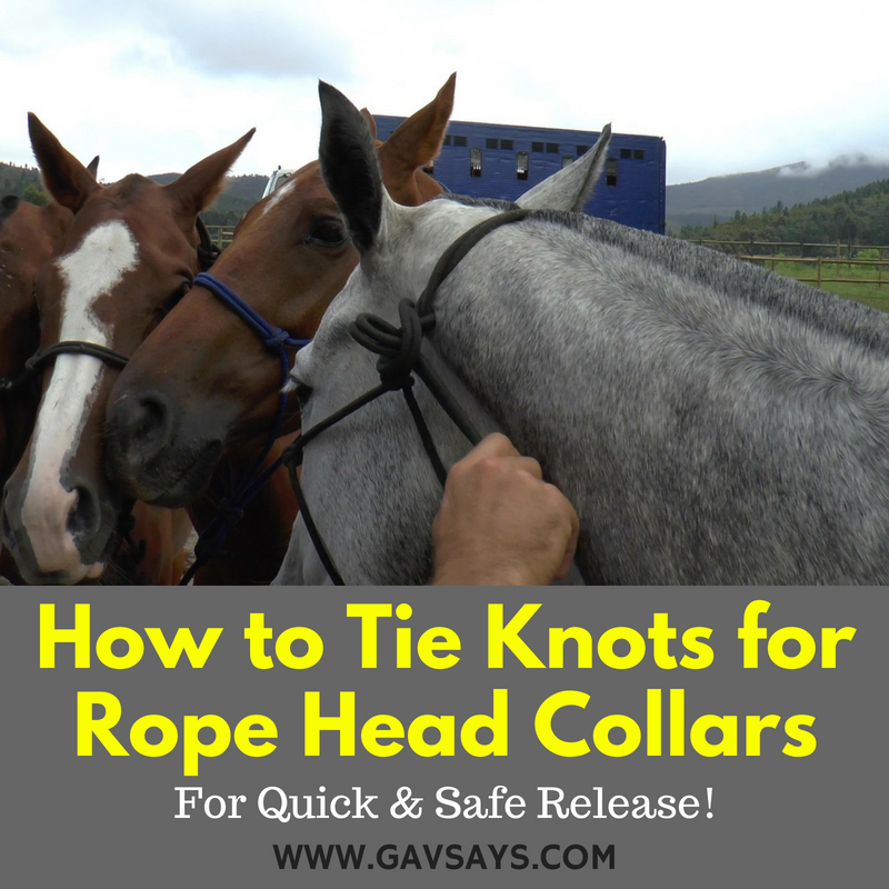 How to Tie Knots for Rope Head Collars - For Safe Release