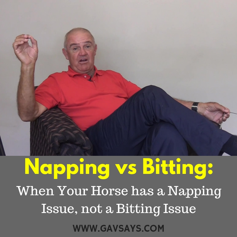Napping vs Bitting: Your Horse has a Napping Issue, not Bitting