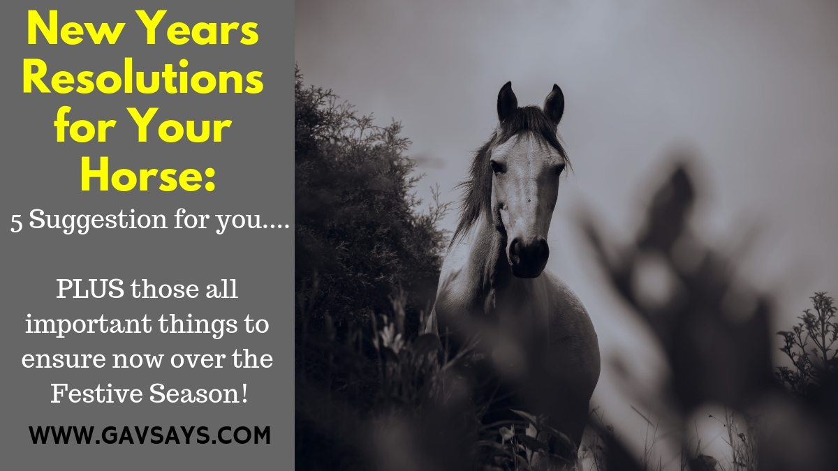 New Years Resolutions for Your Horse: 5 Brilliant Suggestions