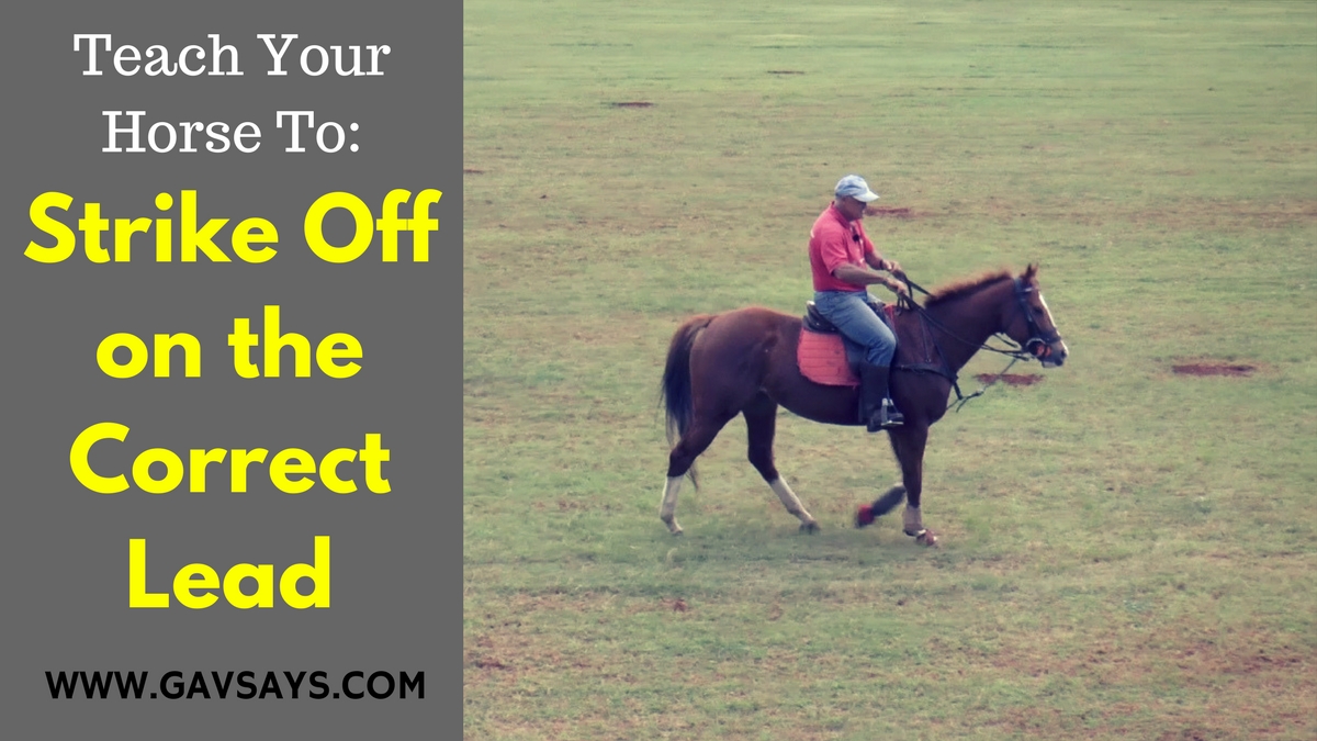 Learn how to teach your horse to Strike off on the Correct Lead...