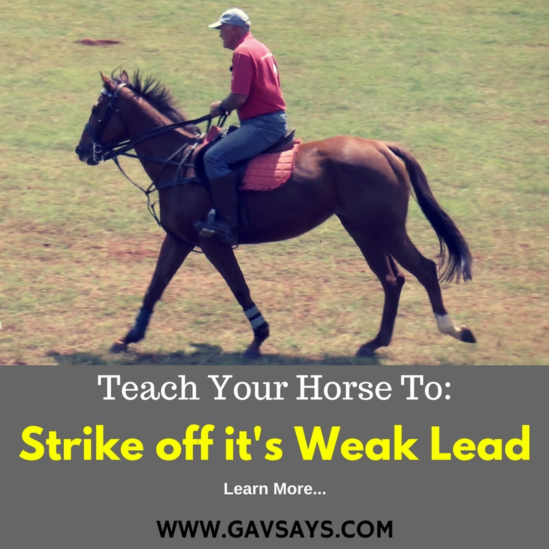 How to Teach Your Horse to Strike off it's Weak Lead...