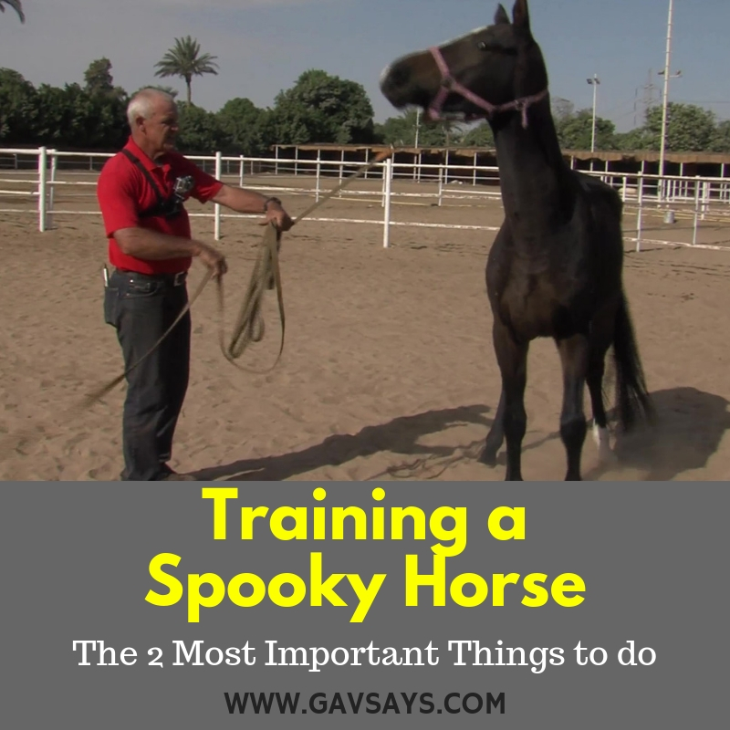 Training a Spooky Horse: The 2 Most Important Things to do