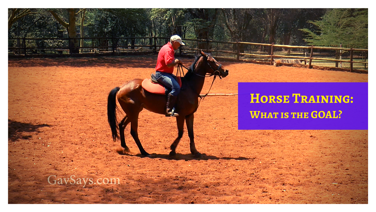 The Goal of Horse Training: What is it?