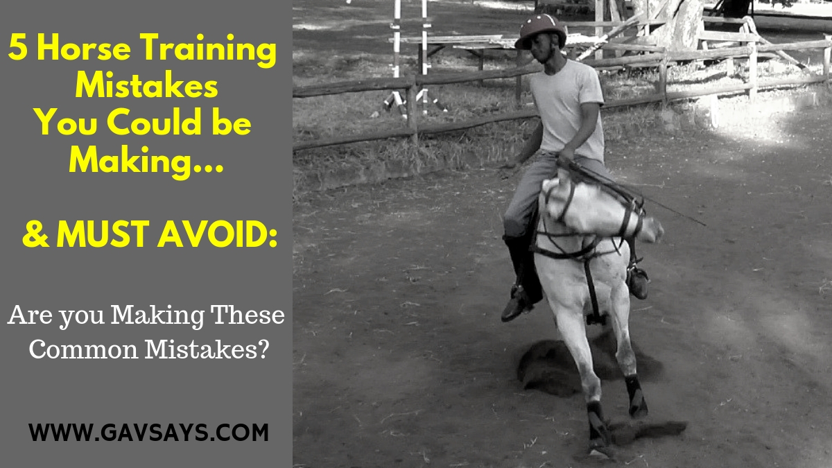 5 Horse Training Mistakes You're Making & Need to Avoid