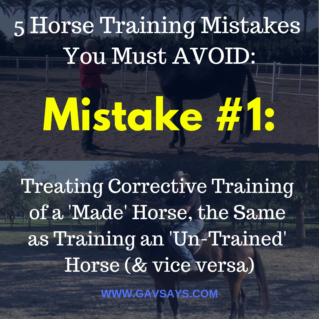 5 Horse Training Mistakes You're Making & Need to Avoid: Mistake #1