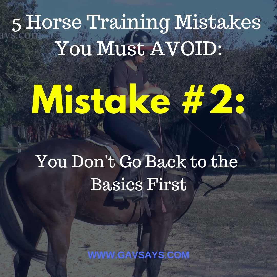 5 Horse Training Mistakes You're Making & Need to Avoid: Mistake #2