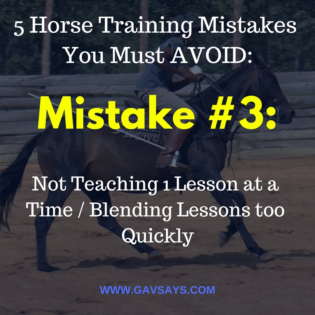 5 Horse Training Mistakes You're Making & Need to Avoid: Mistake #3