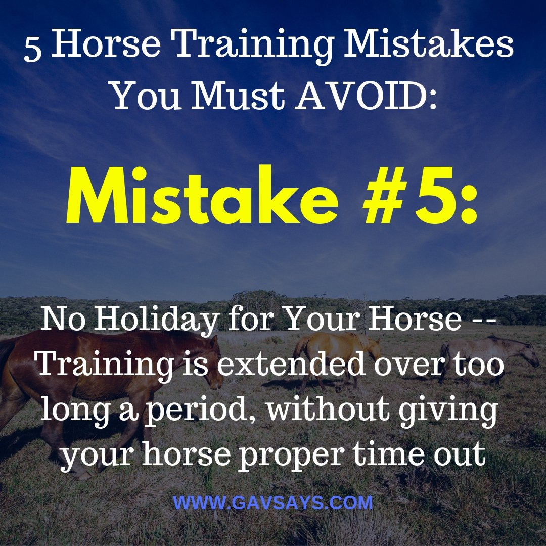 5 Horse Training Mistakes You're Making & Need to Avoid: Mistake #5