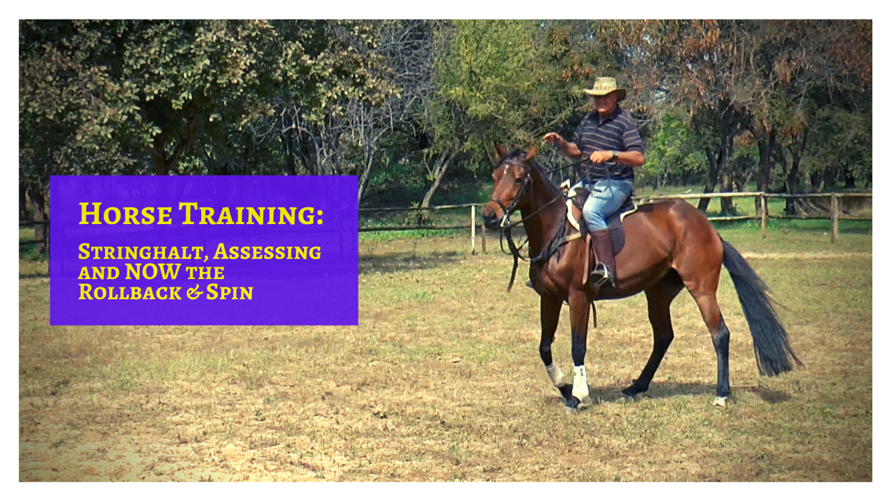Rollback and Spin: Horse Training Tips & Lessons