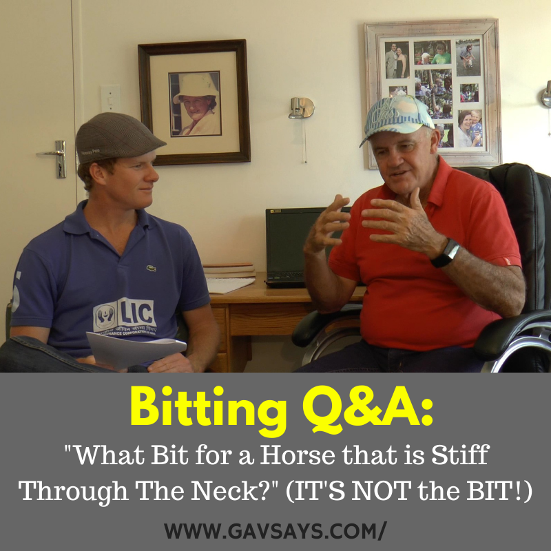 Bitting Q&A: What Bit for a Horse That is Stiff Through the Neck?