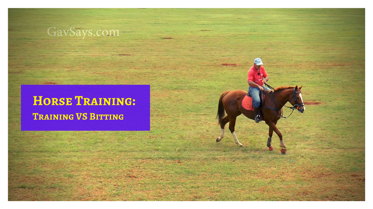 Teaching a Horse to Stop Correctly - Bits vs Training Teaching a Horse to Stop Correctly - Bits vs Training