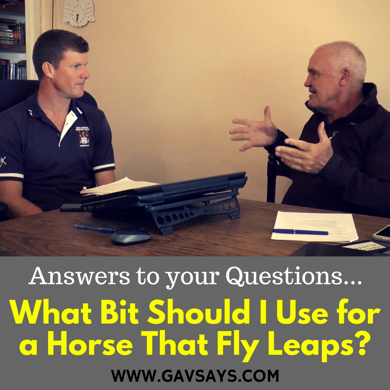 What Bit to Use for a Horse that Fly Leaps? Answers to your Questions