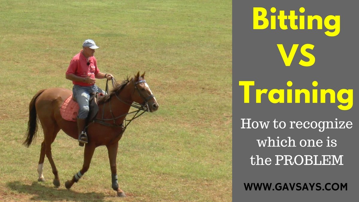 Bitting vs Horse Training - How to Tell What The Problem is