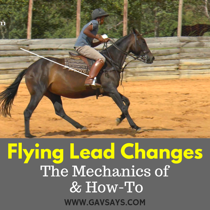 Flying Lead Changes - Learn the Mechanics of & How-To