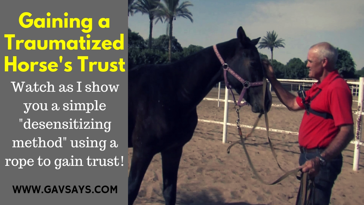 Gaining a Traumatized Horse's Trust: Using the Rope Method