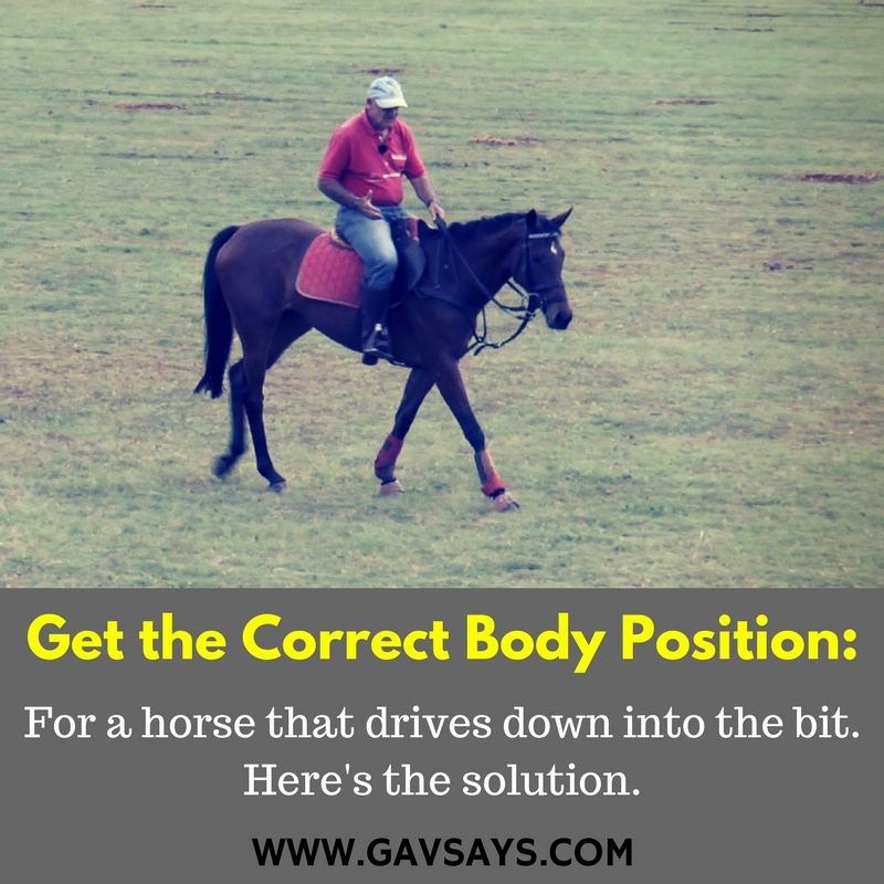 You must always be aware of what work your horse needs. For Promise, a horse that dove into the bit, it was to get the correct body position...
