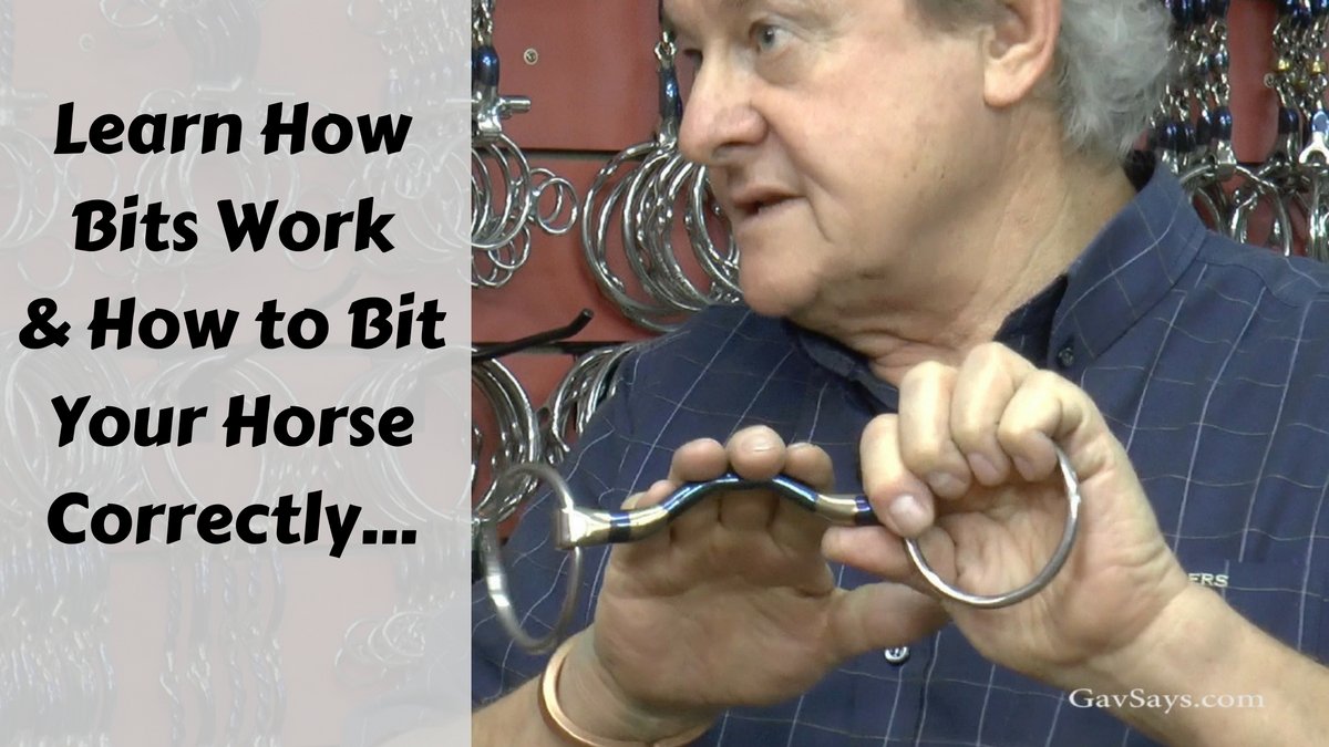 Horse Bits & Bitting - Learn how to correctly bit your horse...