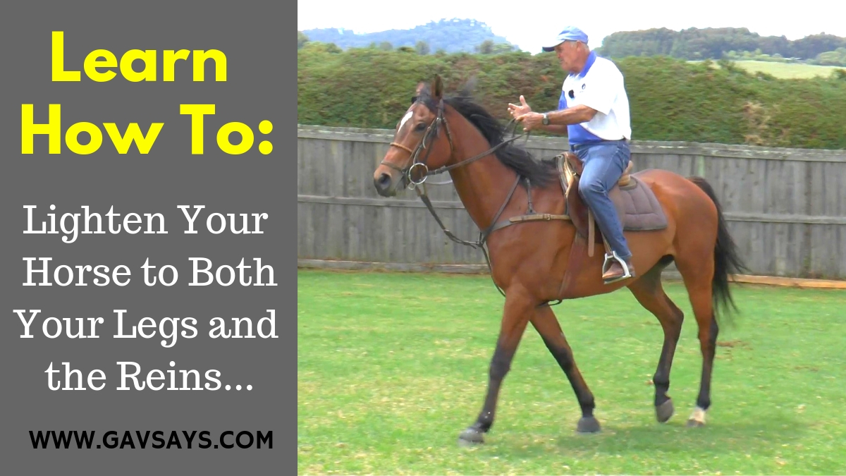 How to Lighten Your Horse to Both Legs and Reins