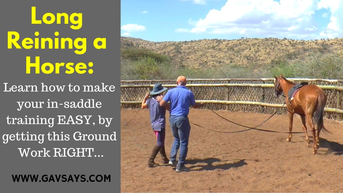 The How-To of Long Reining a Horse: Making In-Saddle Training EASY