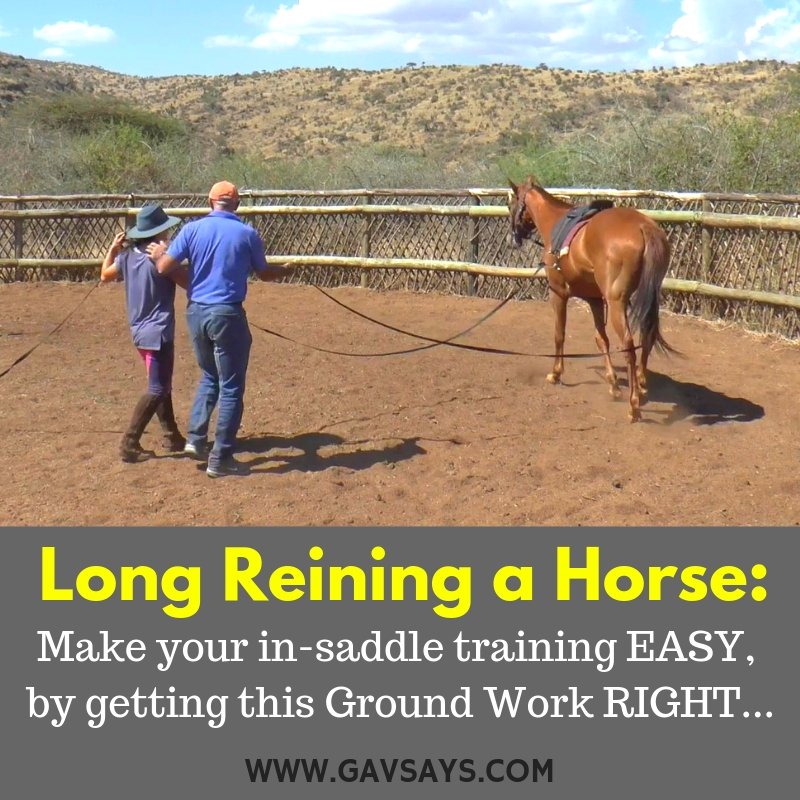 The How-To of Long Reining a Horse: Making In-Saddle Training EASY