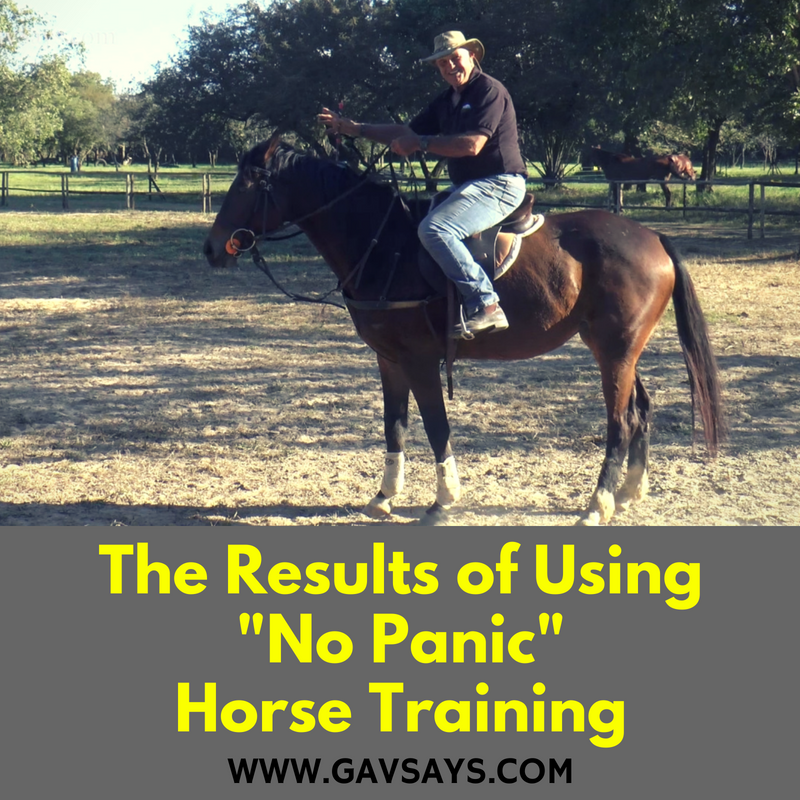 The Results of Using No Panic Horse Training...