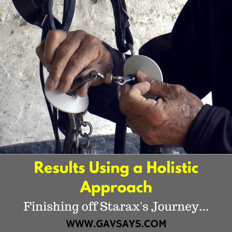 Results using the Holistic Approach to Horse Training - Finishing Starax's Journey