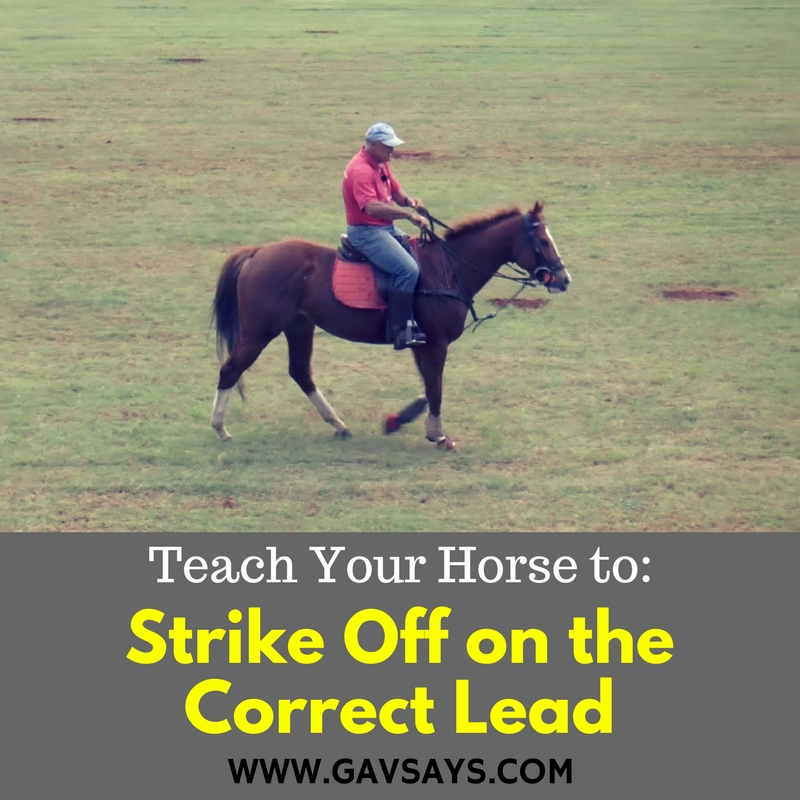 Learn how to teach your horse to Strike off on the Correct Lead...