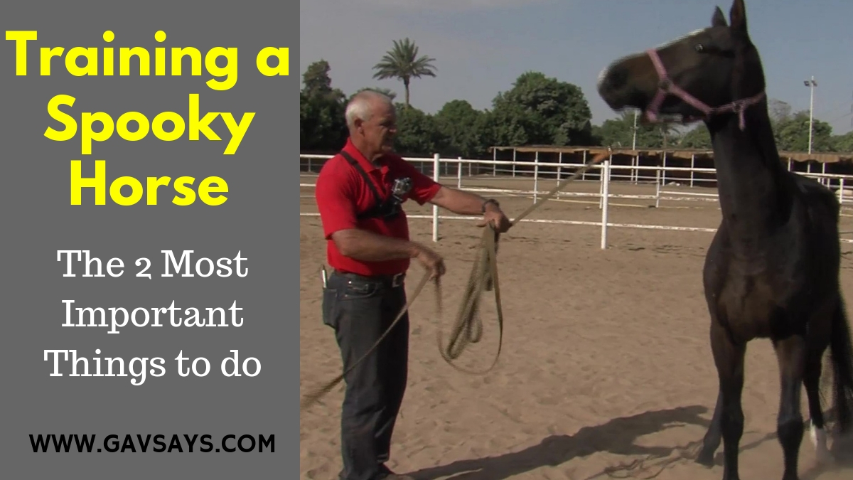 Training a Spooky Horse: The 2 Most Important Things to do